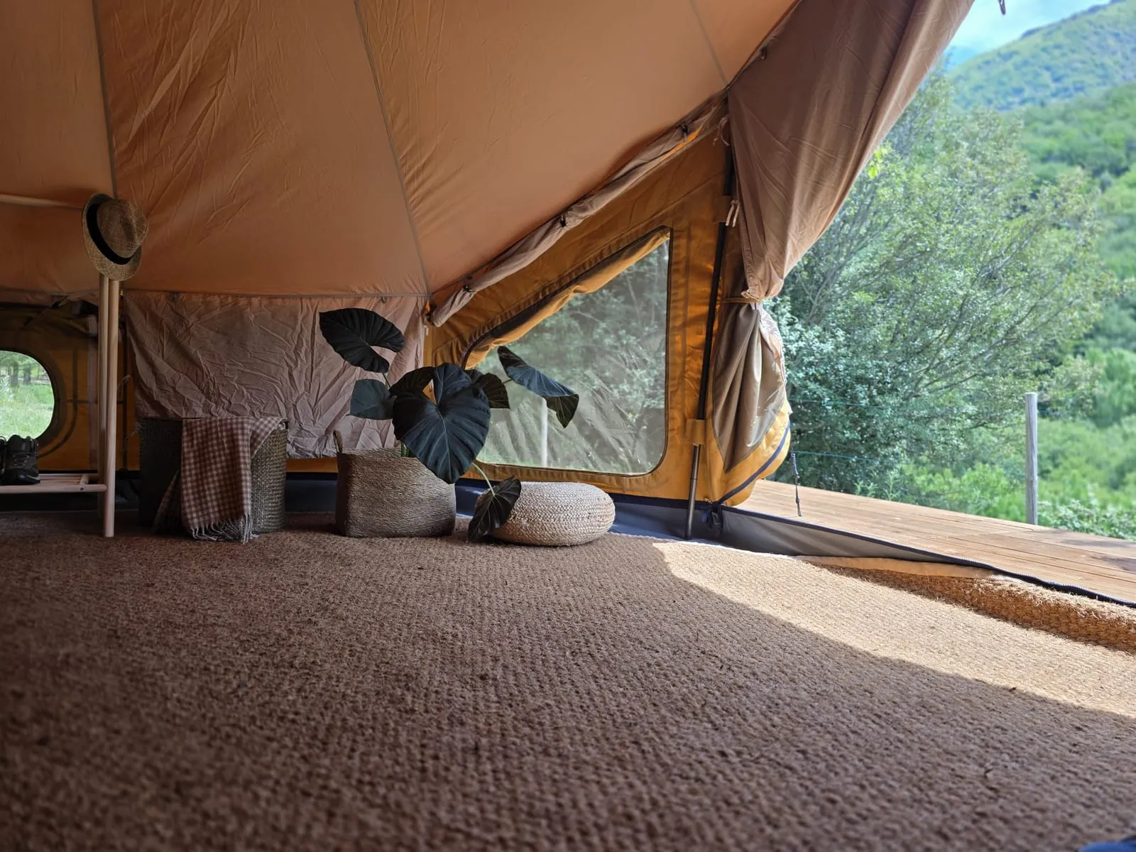 Interior de la tenda Falguera amb finestral obert al bosc del Montseny