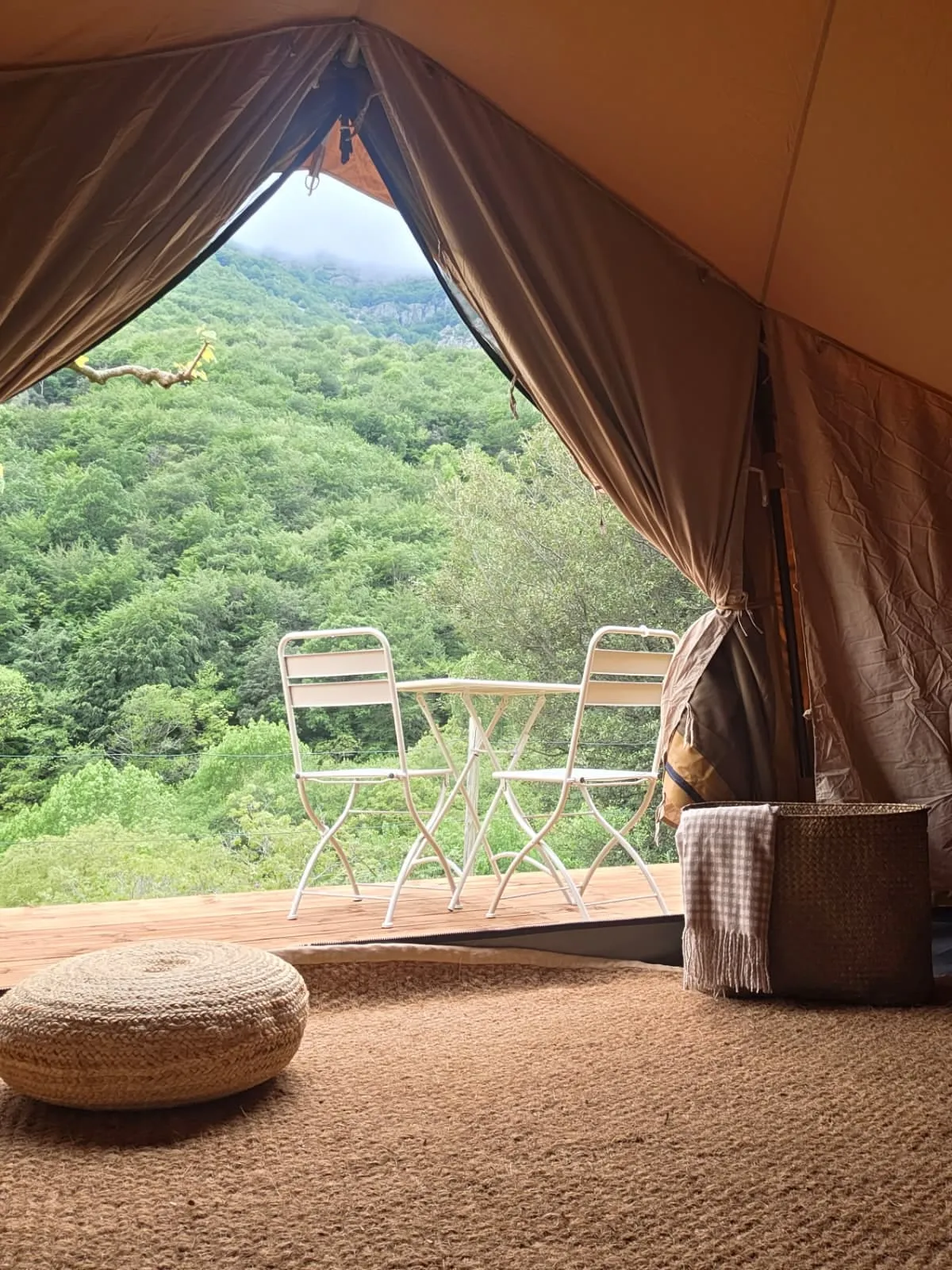 Vista des de la tenda Falguera cap a la terrassa amb taula i el bosc