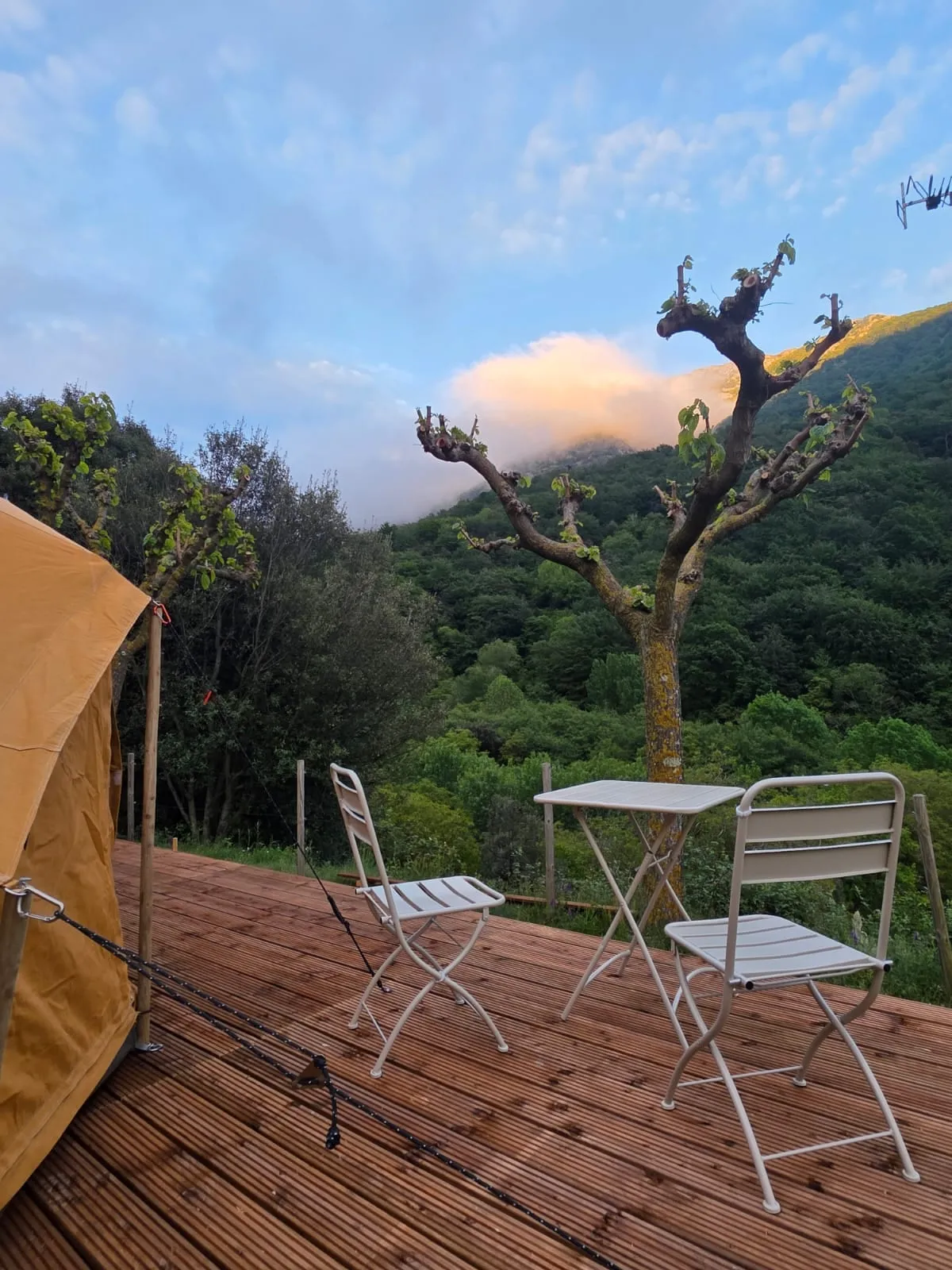 Terrassa de la tenda Falguera amb taula i cadires a l’alba sobre la vall