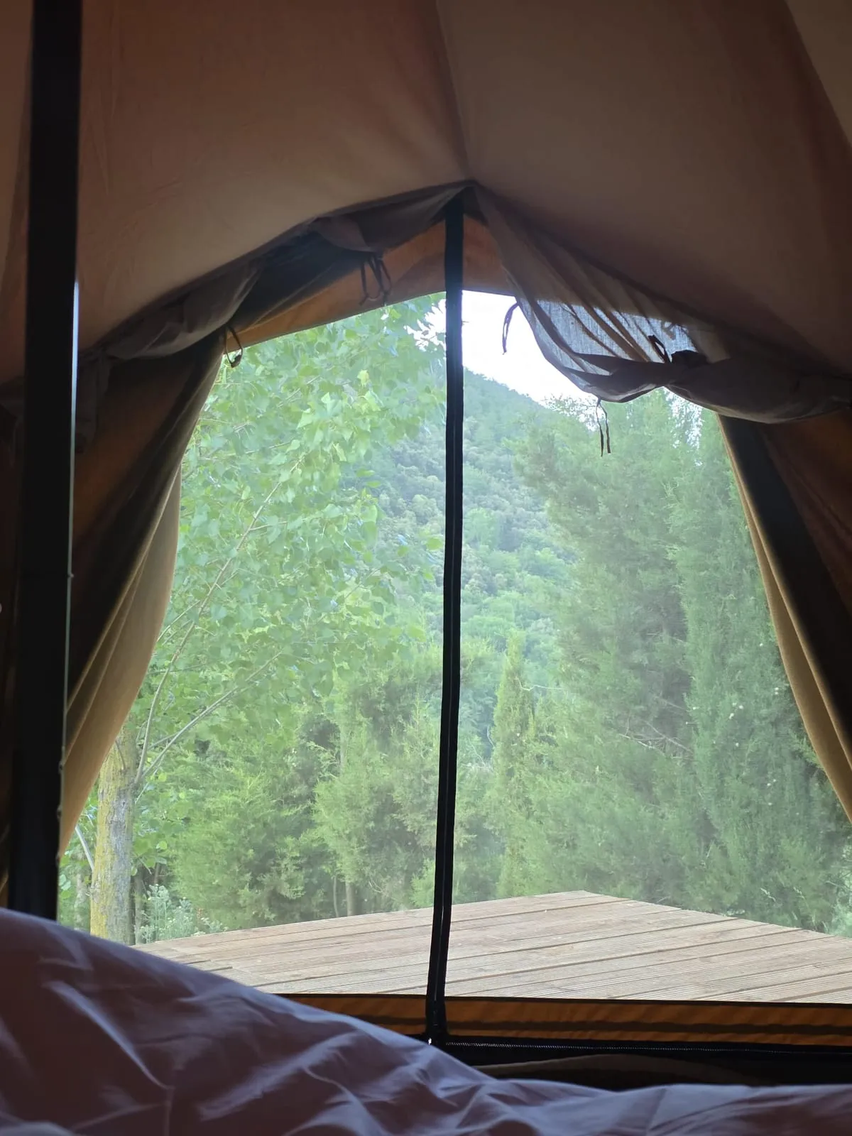 Vista del bosc a través de la porta mosquitera de la tenda Falguera
