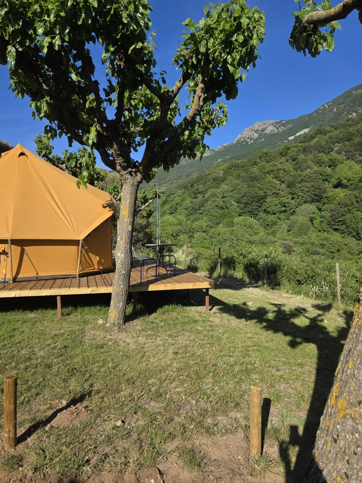Tenda Falguera entre arbres i prat amb la muntanya al fons