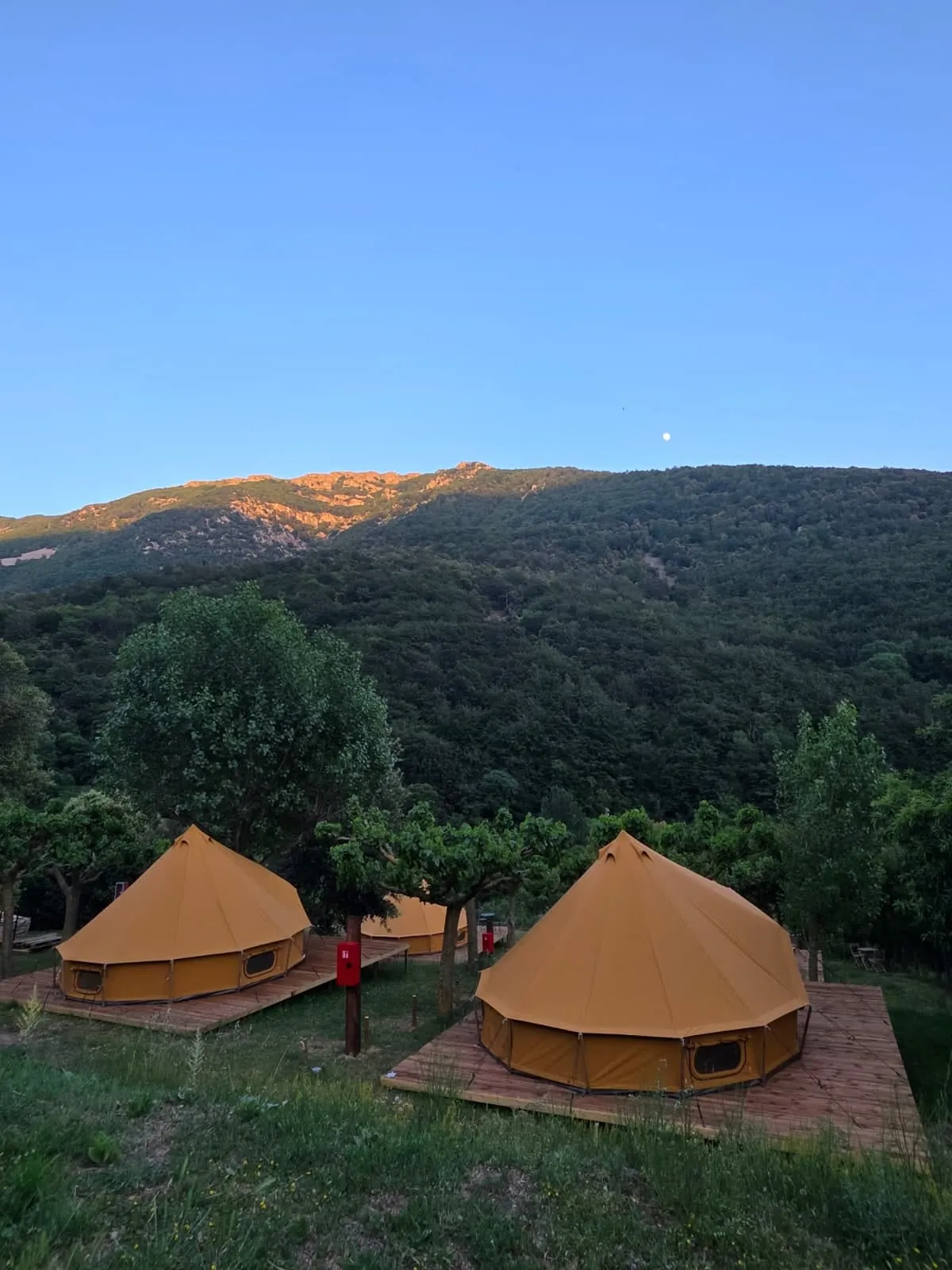 Dues tendes Falguera de campana al càmping amb les muntanyes del Montseny