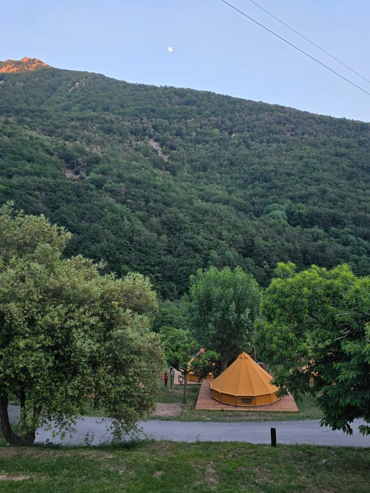 Tenda Falguera a l’entorn natural del Montseny vora el camí