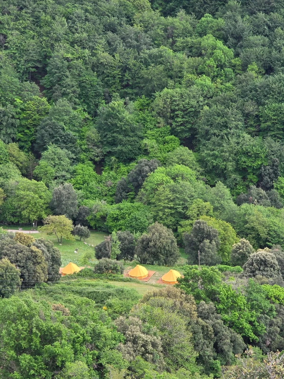 Bosc i vall del Montseny que envolten les tendes Falguera