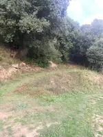 Prat i camí que entra entre els arbres, al costat del càmping