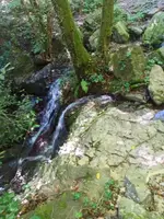 Un pequeño salto de agua entre rocas con musgo
