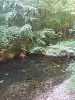 La riera al costat de la presa
