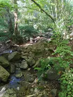La riera entre piedras, bajo los árboles