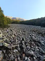 Una gran tartera de pedres grises sota la muntanya, amb bosc als costats