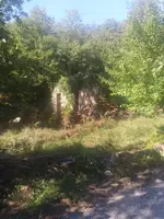 Murs en ruïnes entre la vegetació