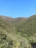 Un valle cubierto de bosque, visto desde arriba